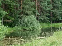 Участок, 7.77 сот. - фото 8