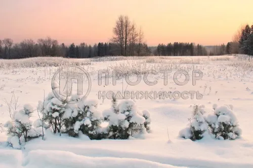 Участок, 4 сот. - фото 2