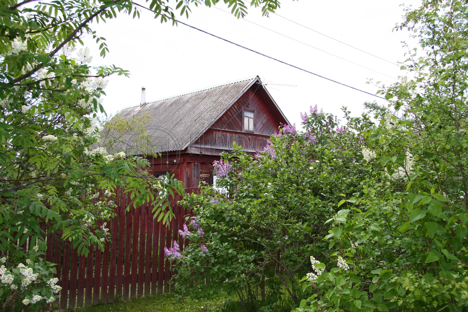 Участок, 25 сот. - фото 15