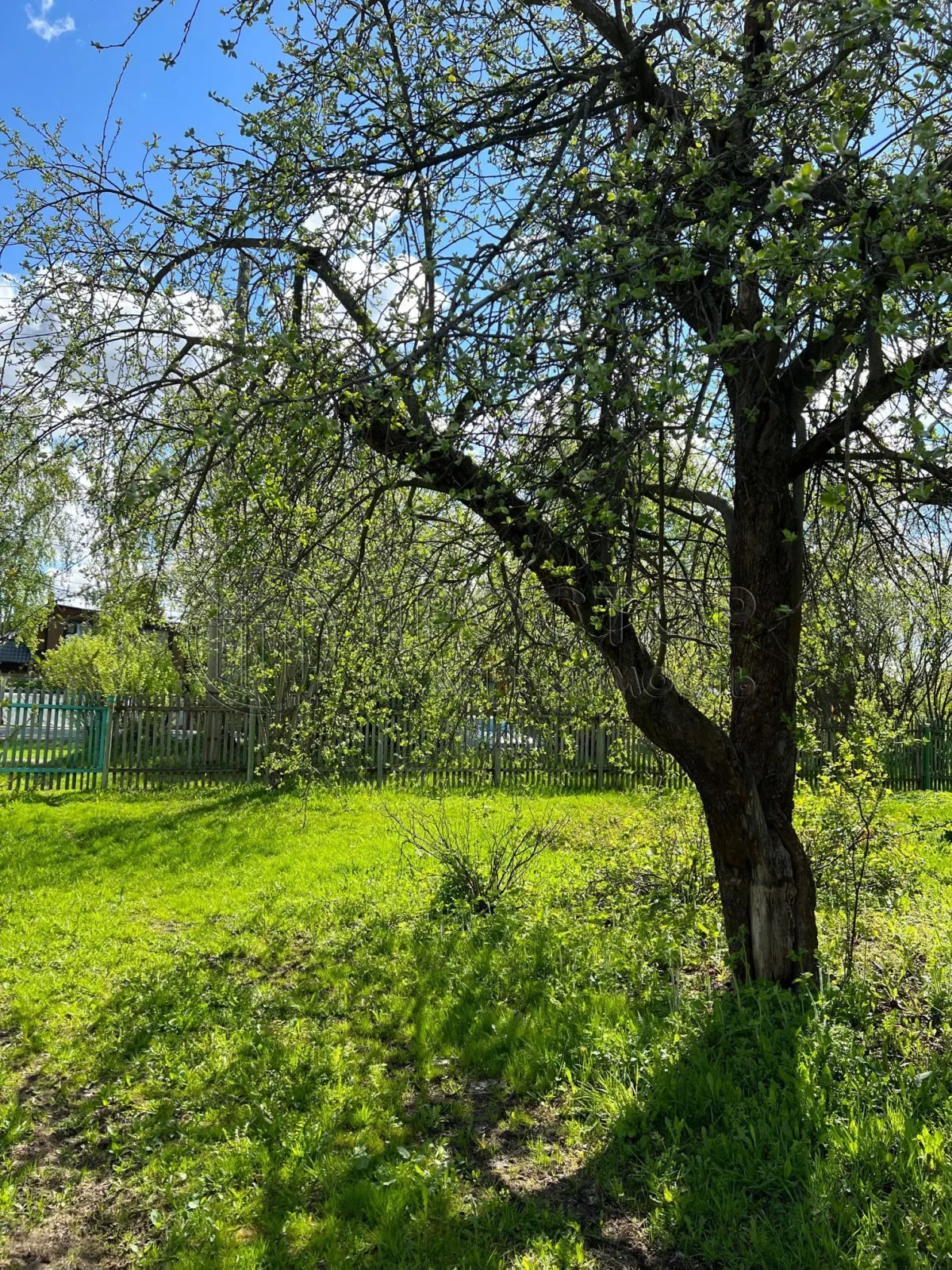 Участок, 17 сот. - фото 4