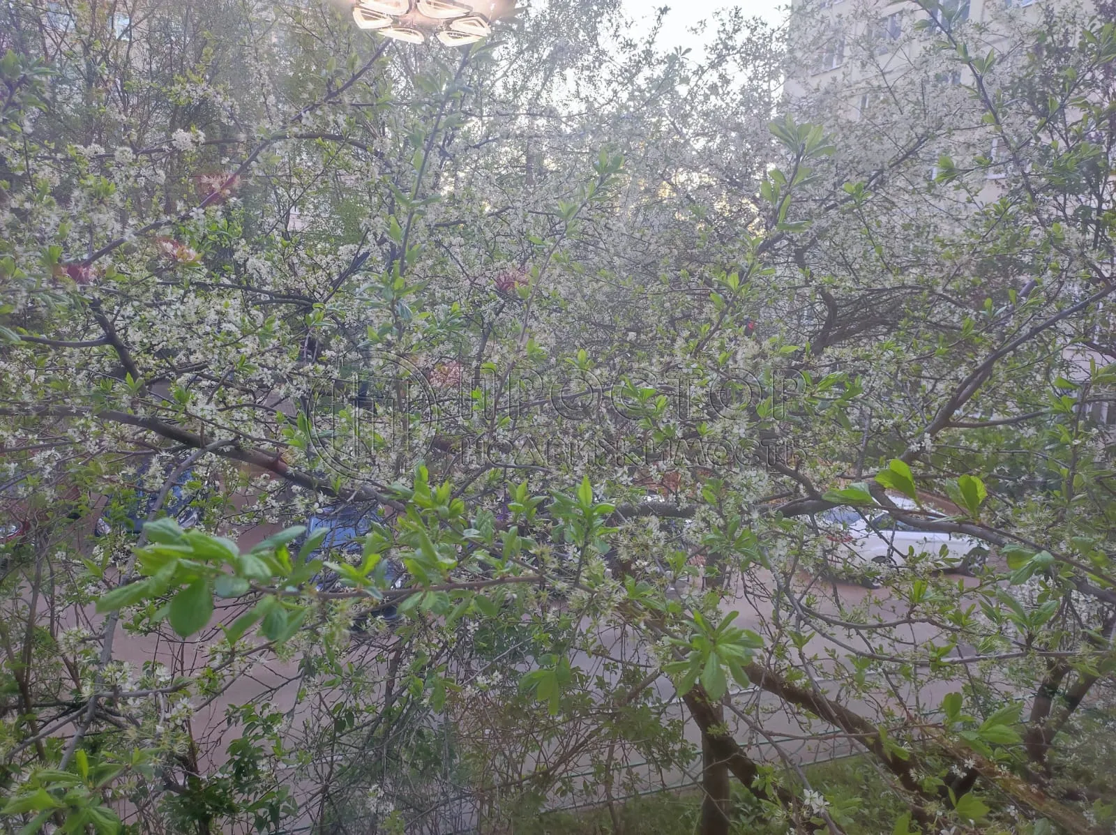 1-комнатная квартира, 32.6 м² - фото 2