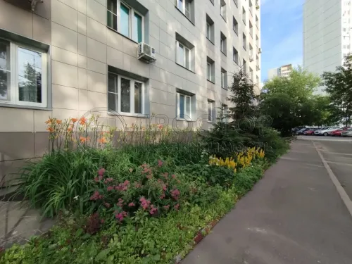 Студия, 15.8 м² - фото 13