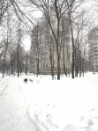 2-комнатная квартира, 40 м² - фото 37