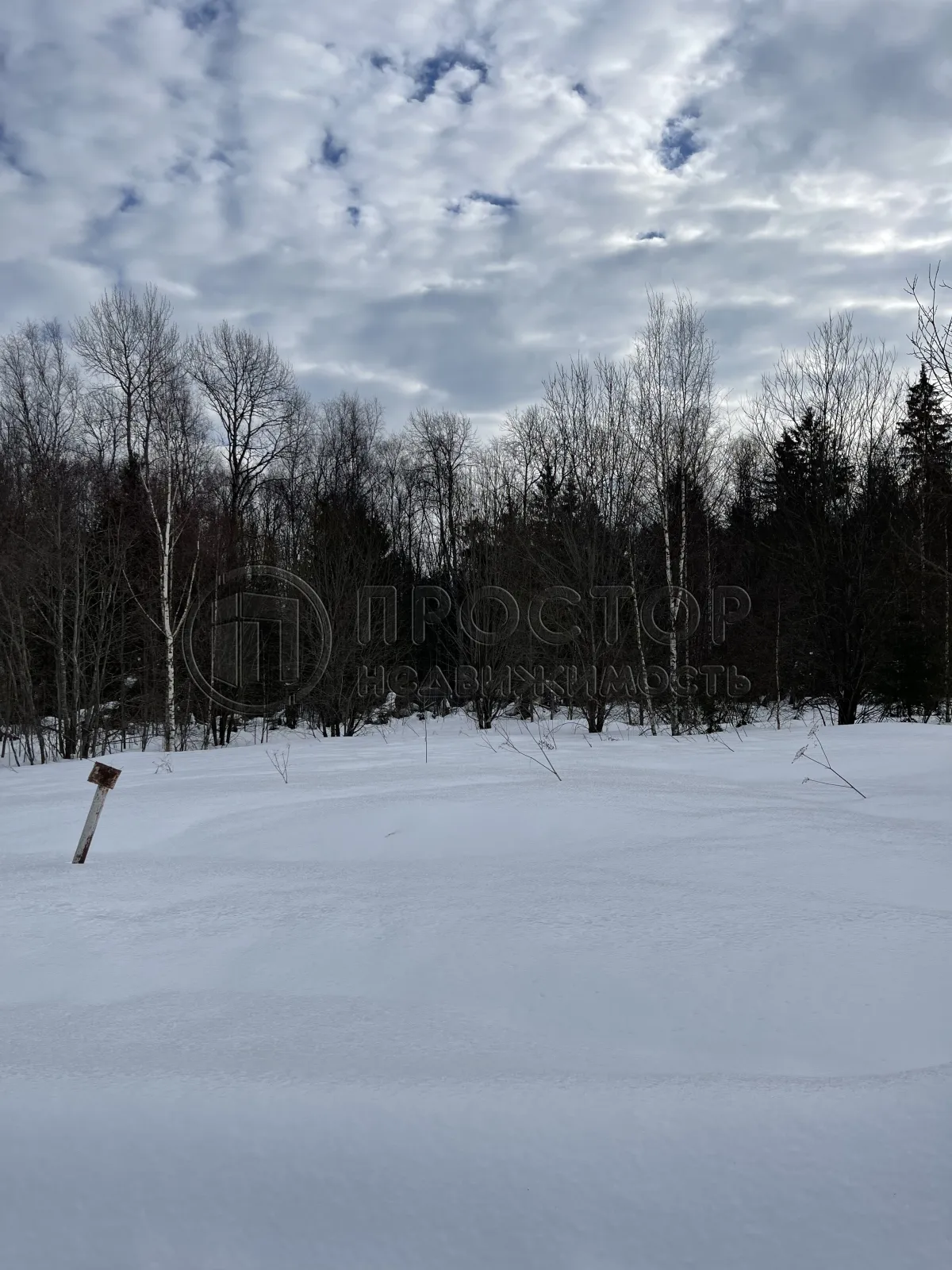 Участок, 20 сот. - фото 7