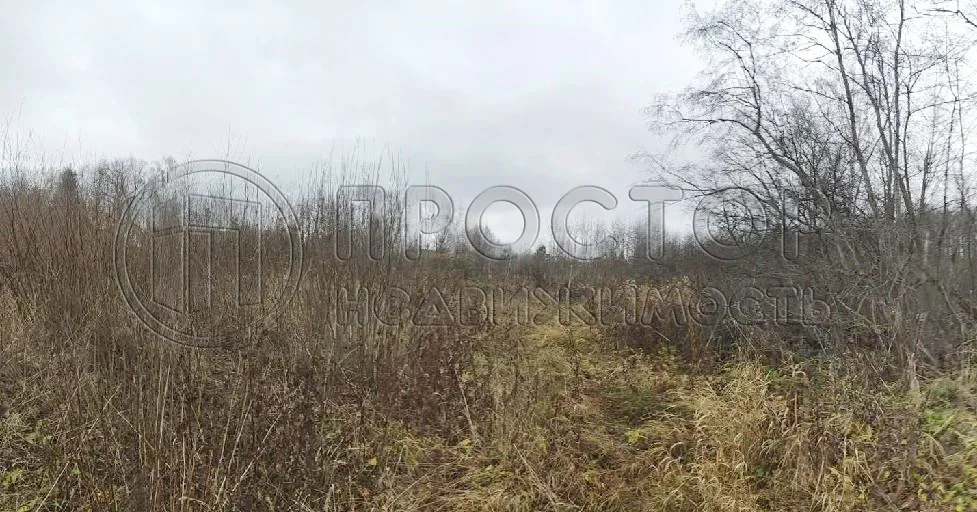 Участок, 14 сот. - фото 4