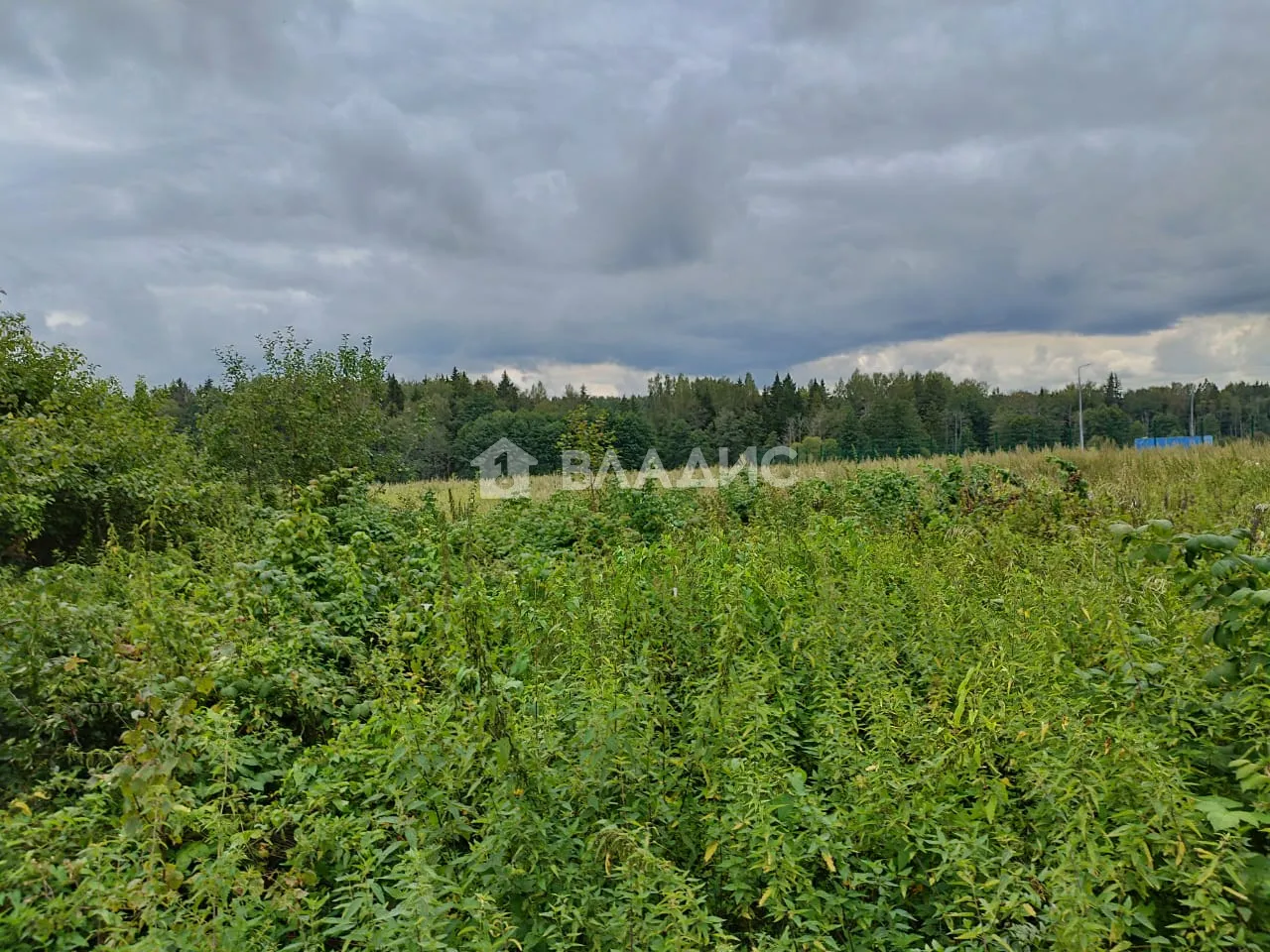 Участок, 5 сот. - фото 5