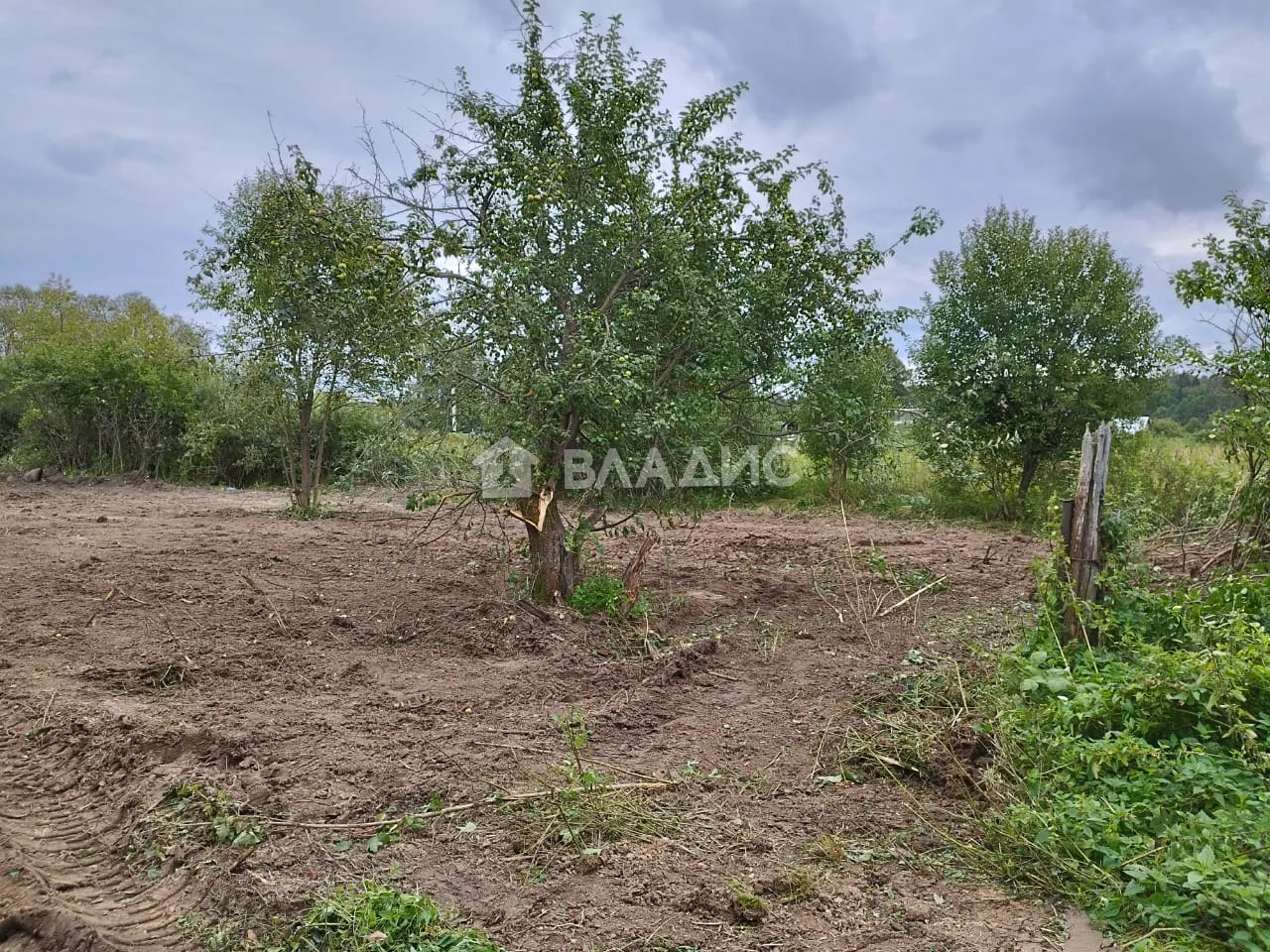 Участок, 5 сот. - фото 4