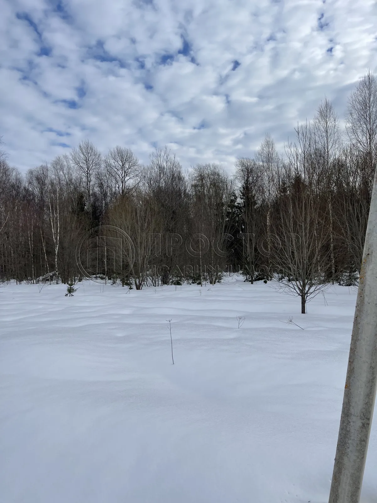 Участок, 24.2 сот. - фото 12