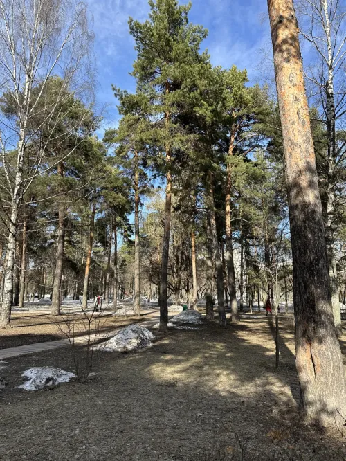 2-комнатная квартира, 40 м² - фото 12