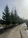 Дом, 125.4 м² - фото 81