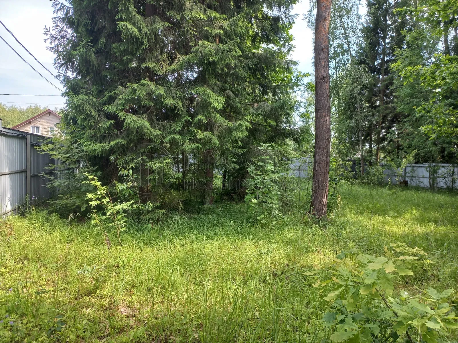 Участок, 20 сот. - фото 6