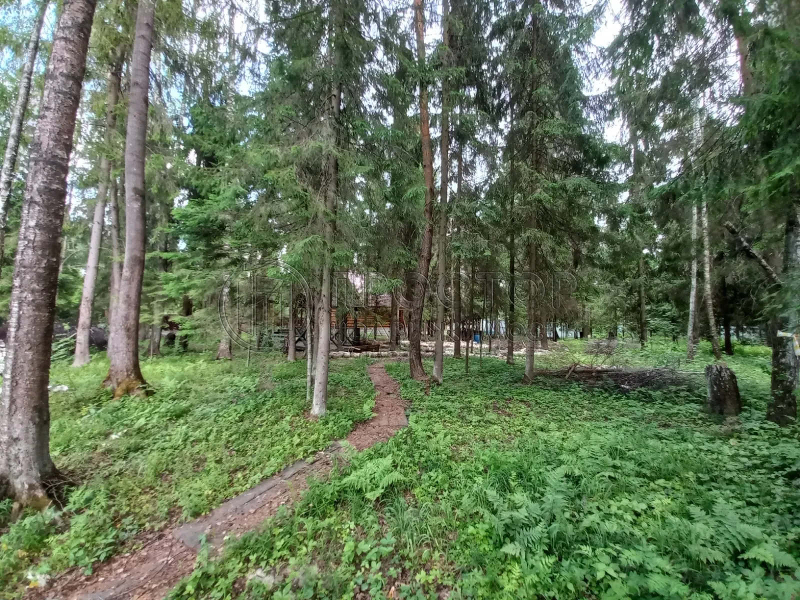 Участок, 20 сот. - фото 42