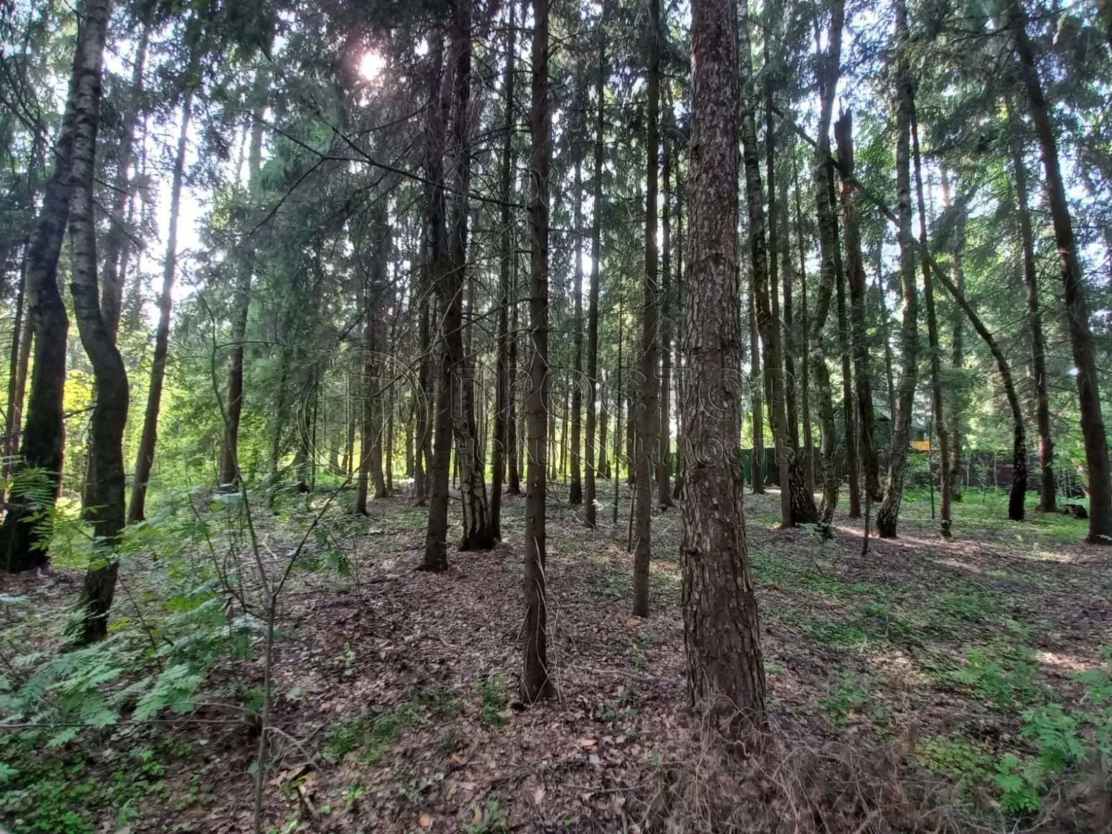 Участок, 12 сот. - фото 4