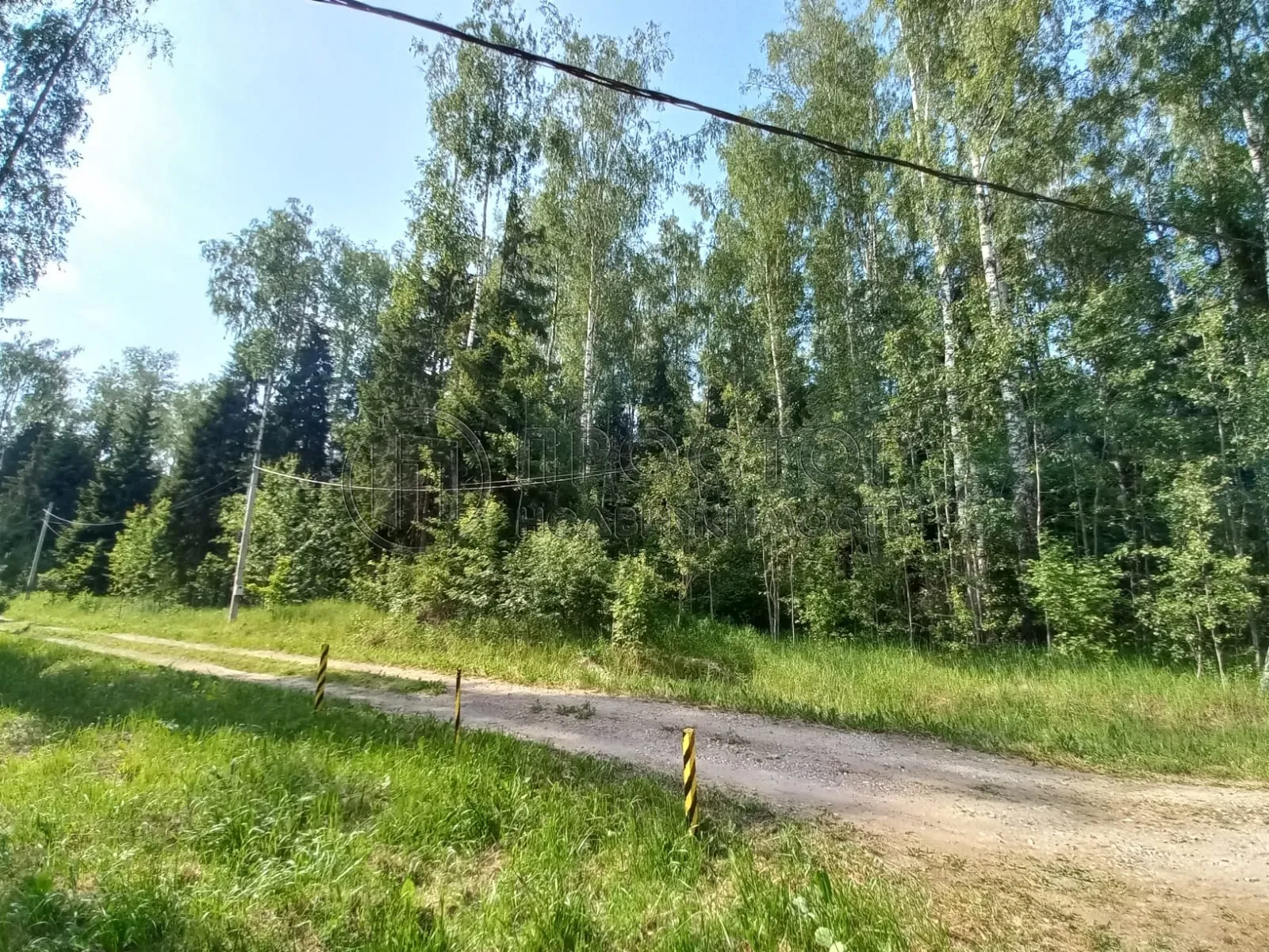 Участок, 12 сот. - фото 5