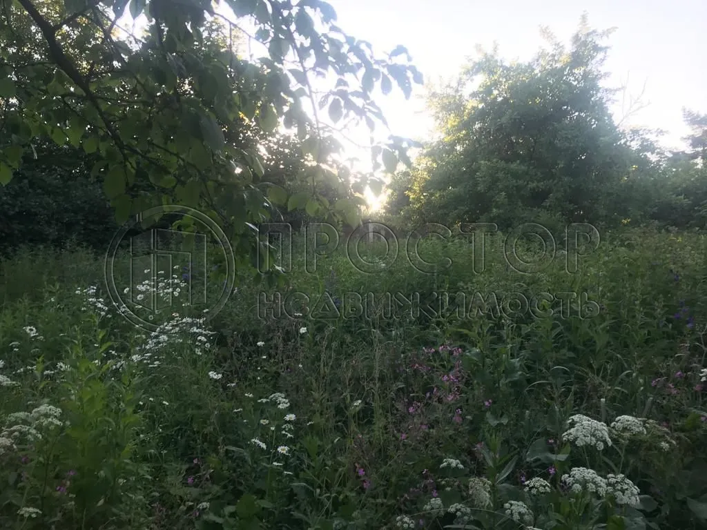 Участок, 14 сот. - фото 5