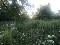 Участок, 14 сот. - фото 13