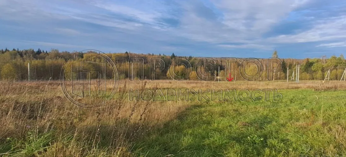 Участок, 11 сот. - фото 9