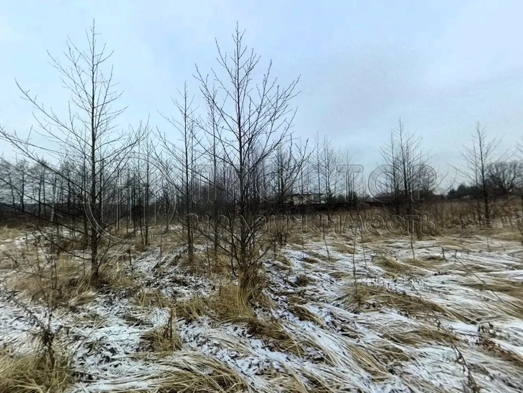 Участок, 15 сот. - фото 5