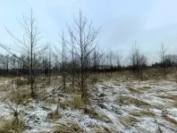Участок, 15 сот. - фото 10
