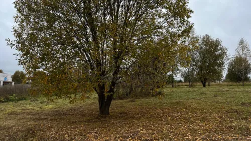 Участок, 12.2 сот. - фото 2