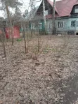 Участок, 10.4 сот. - фото 20