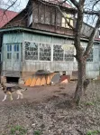 Участок, 10.4 сот. - фото 22