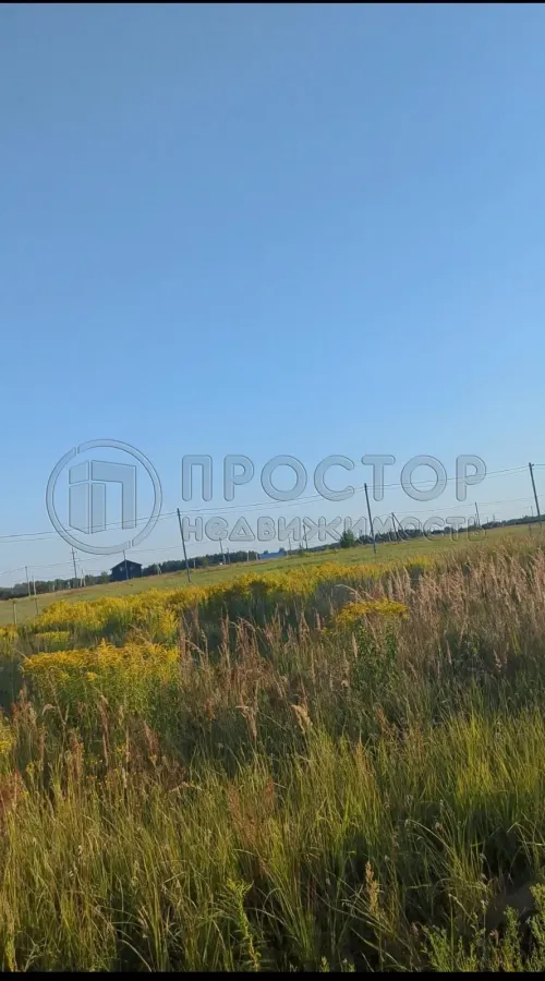 Участок, 10 сот. - фото 4