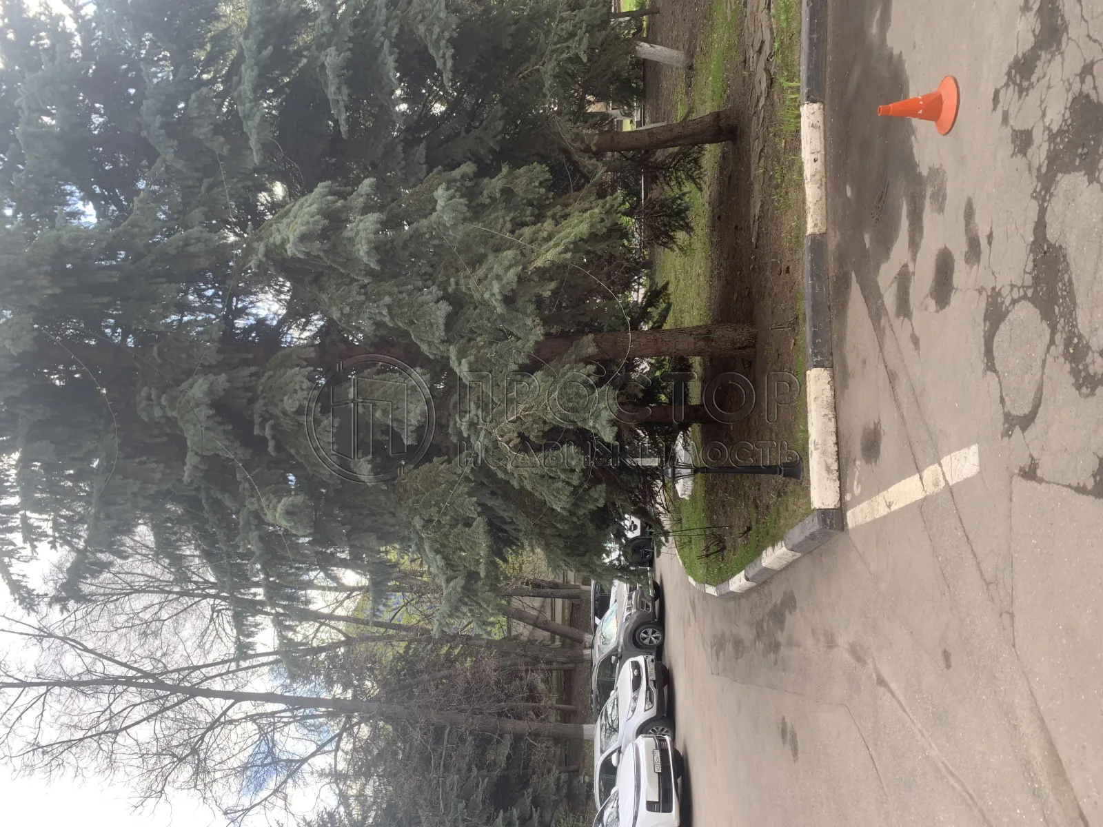 Коммерческая недвижимость (офисное), 21.8 м² - фото 7