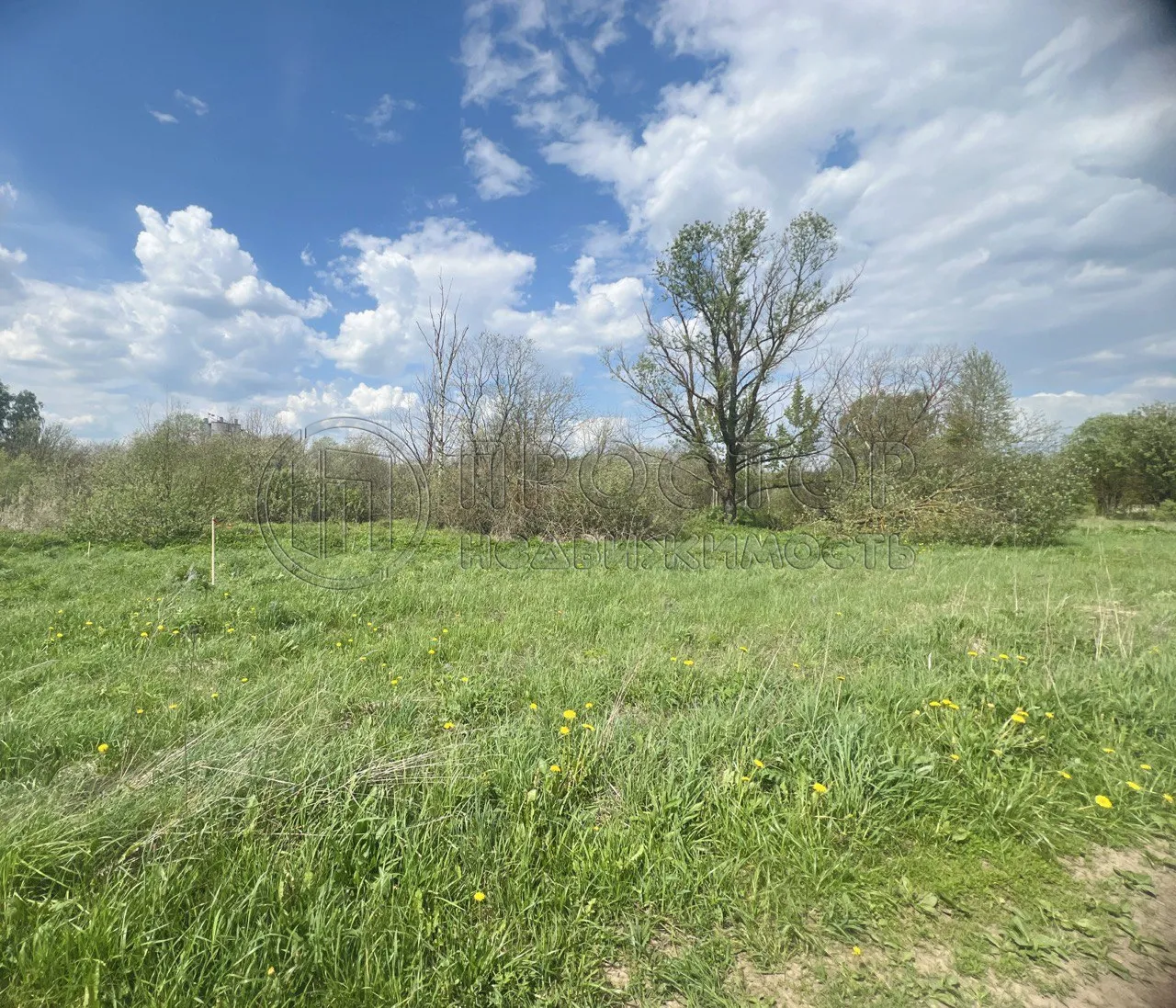 Коммерческая недвижимость (земельный участок),  м² - фото 2