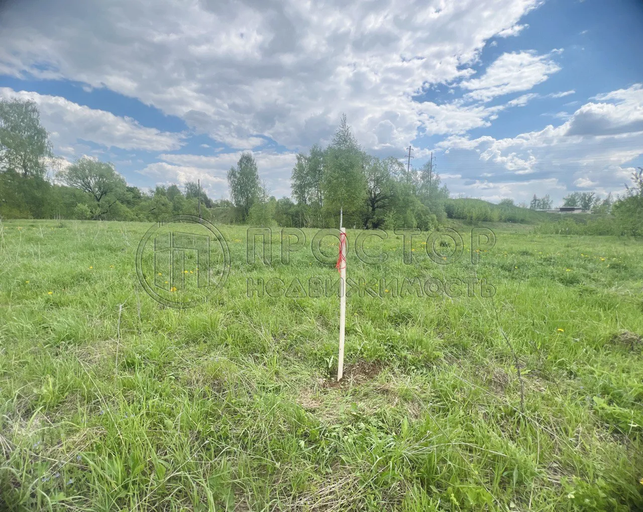 Коммерческая недвижимость (земельный участок),  м² - фото 5