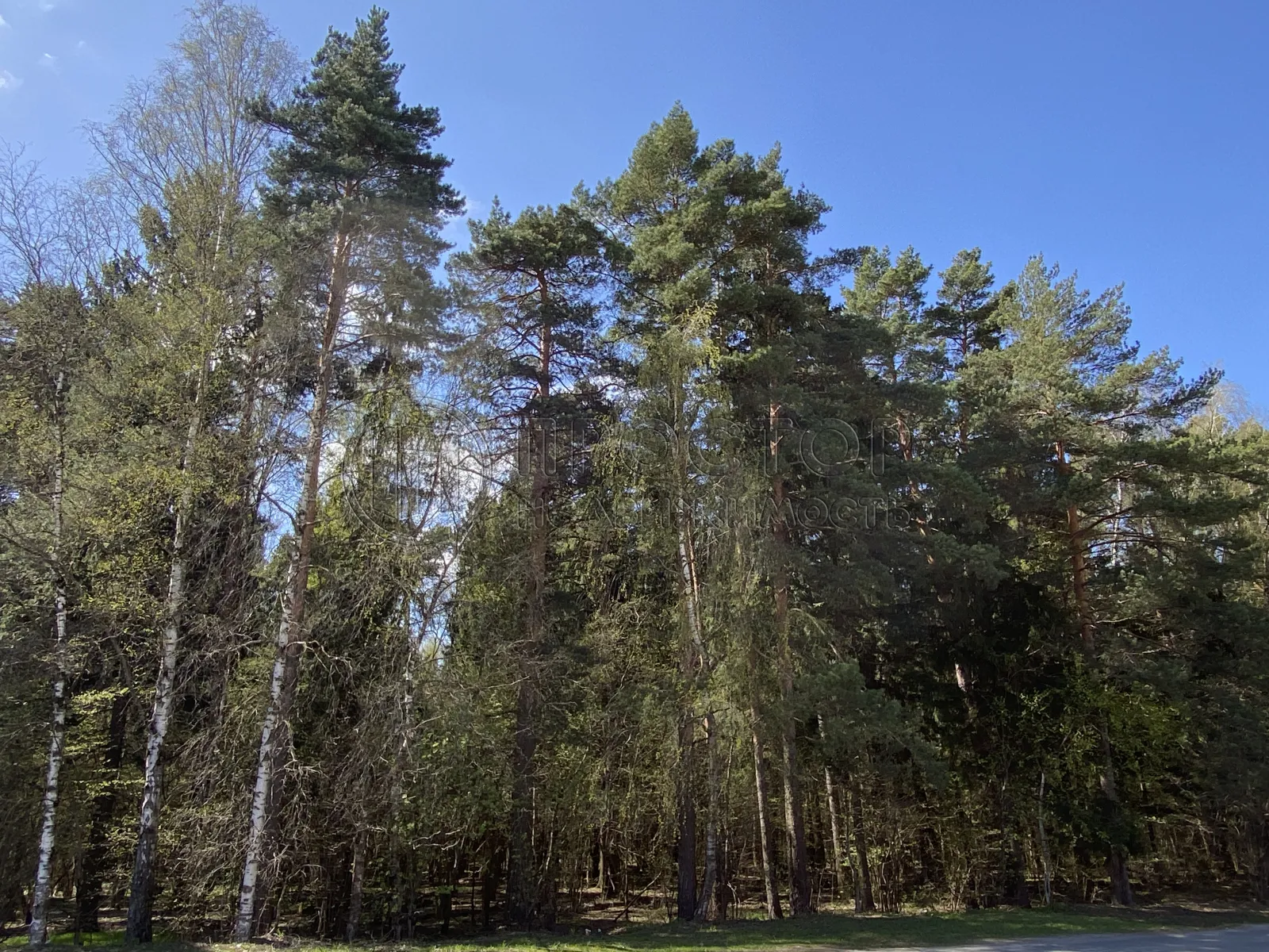 Участок, 6.33 сот. - фото 20