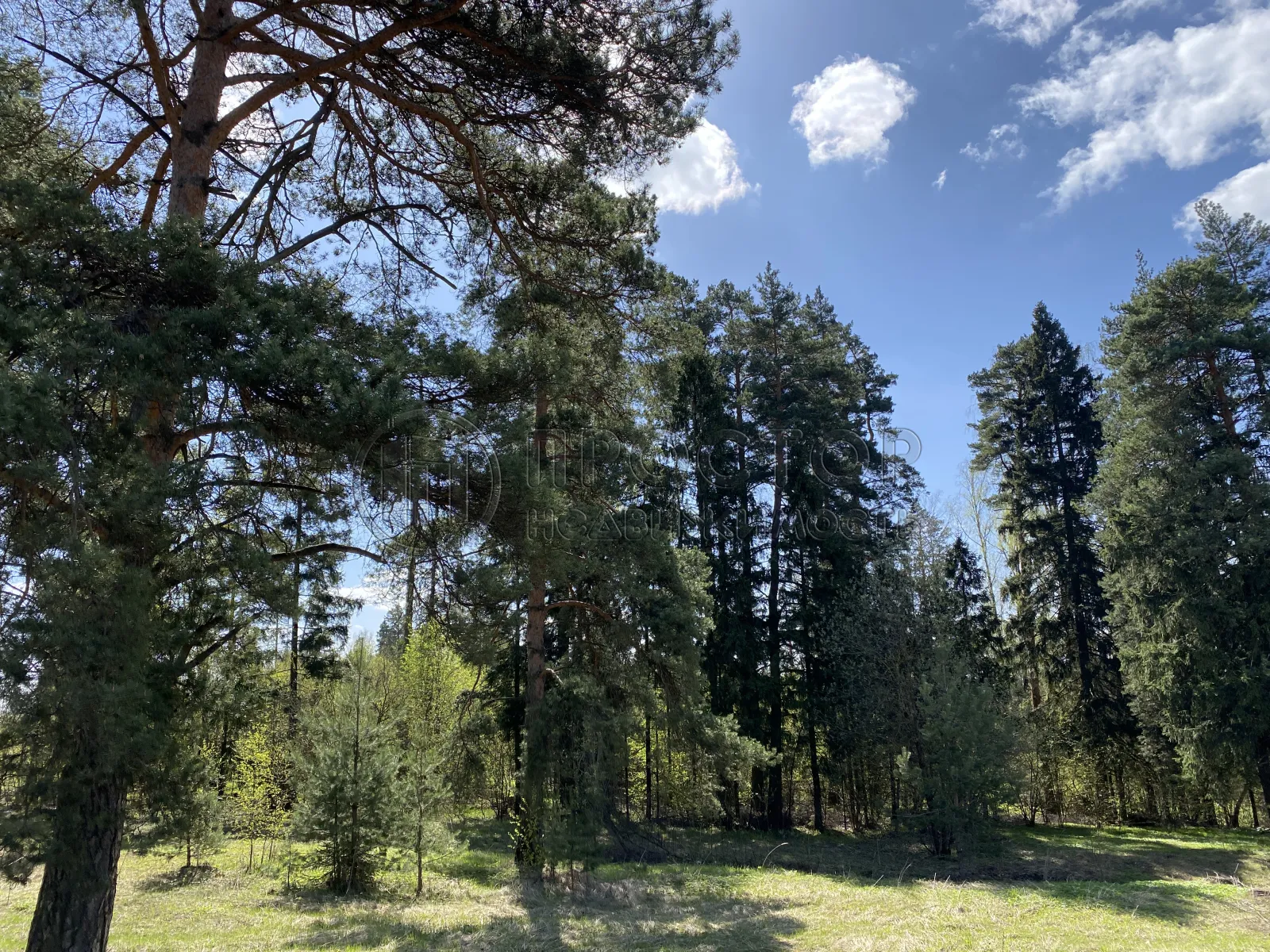 Участок, 6.33 сот. - фото 21