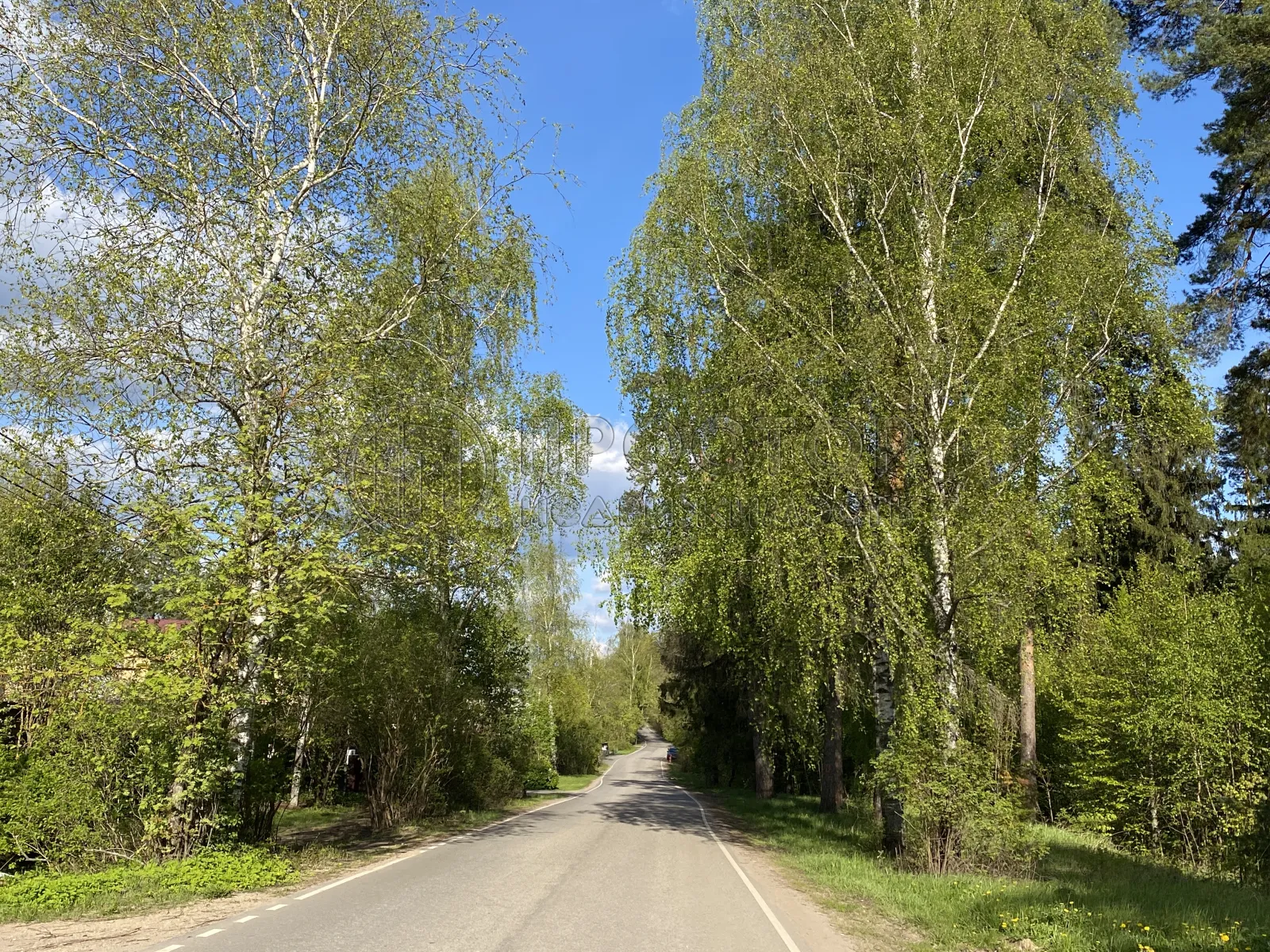 Участок, 6.33 сот. - фото 16