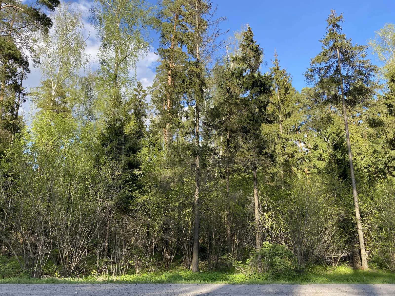 Участок, 6.33 сот. - фото 19