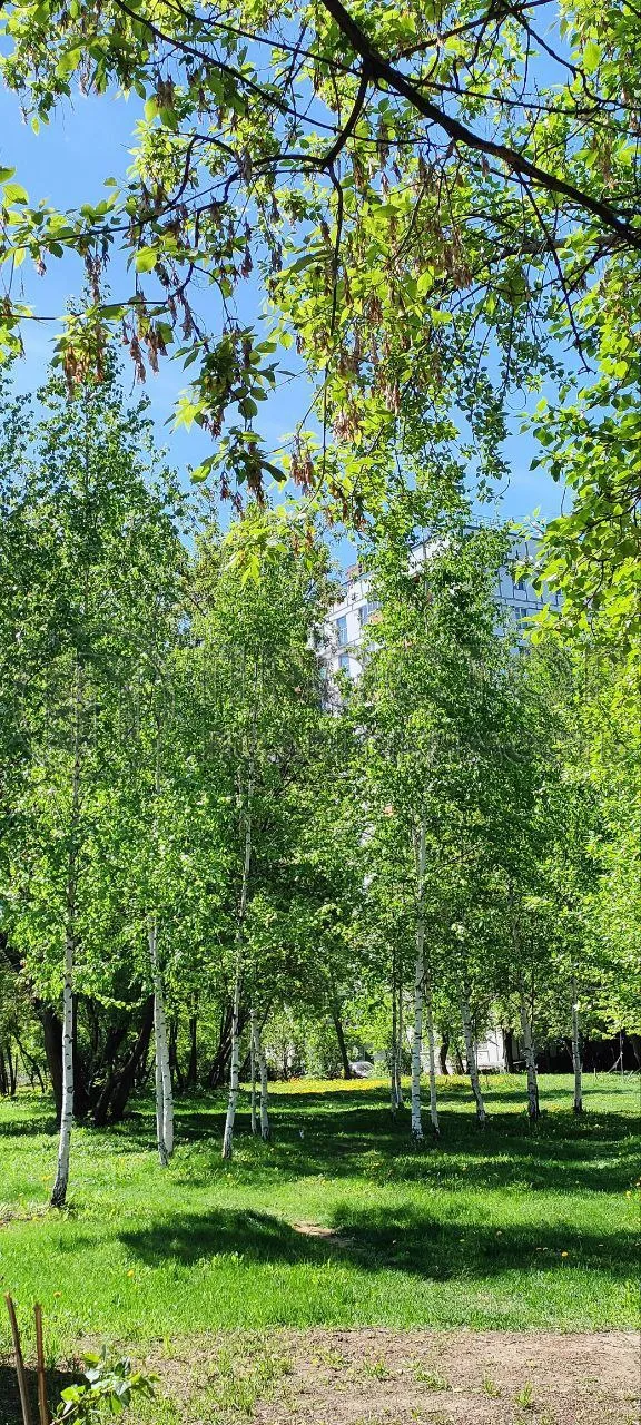 Студия, 14.7 м² - фото 9