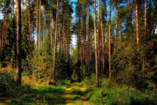 Участок, 8.5 сот. - фото 16