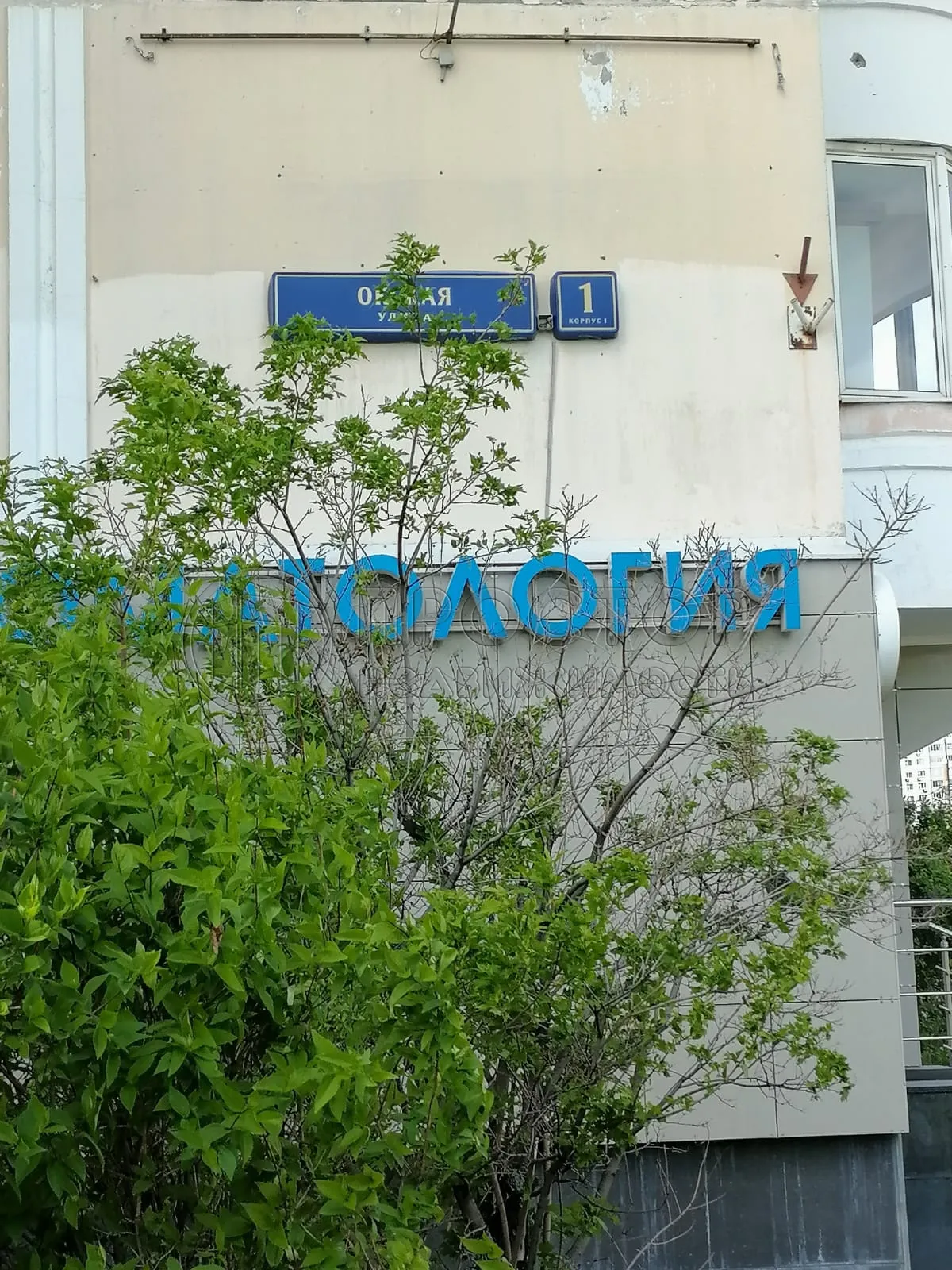 2-комнатная квартира, 53.7 м² - фото 6