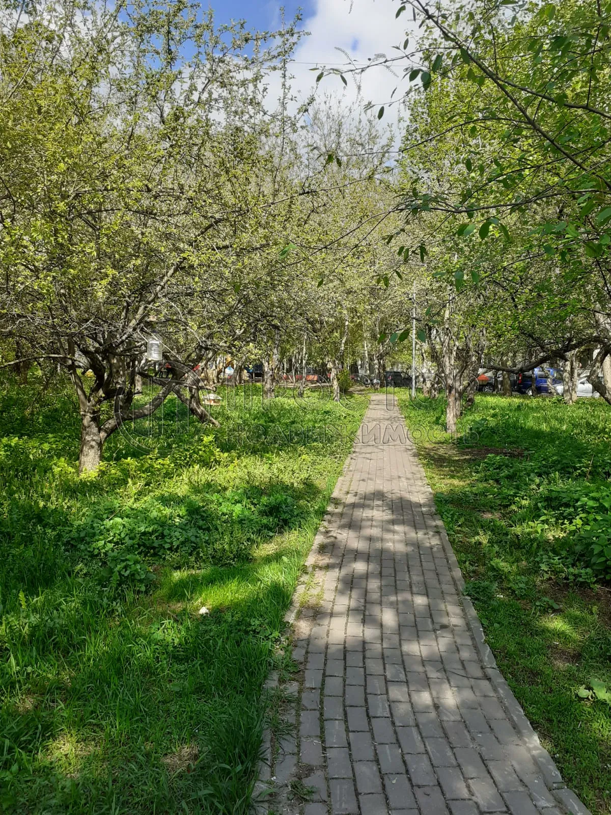 2-комнатная квартира, 42.7 м² - фото 17