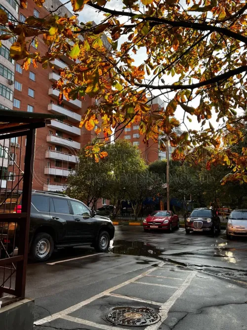 3-комнатная квартира, 78.5 м² - фото 33