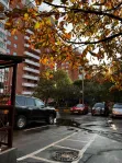 3-комнатная квартира, 78.5 м² - фото 72