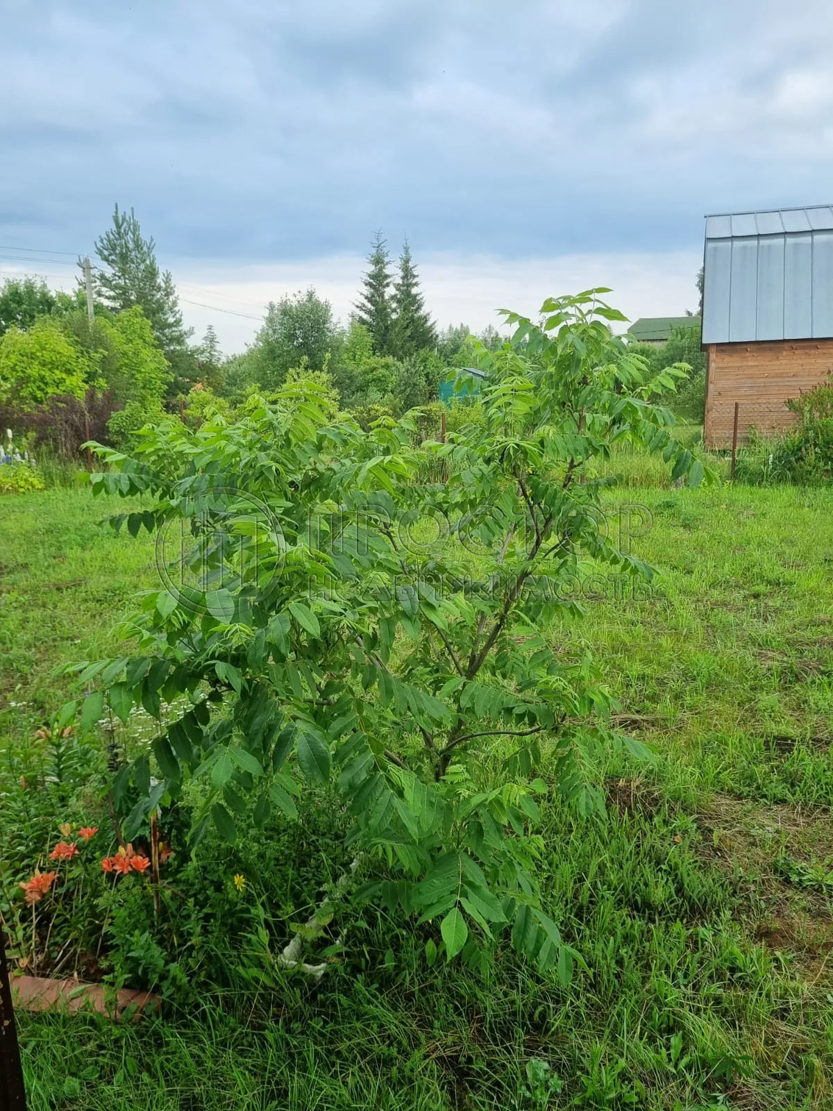 Дом, 80 м² - фото 22