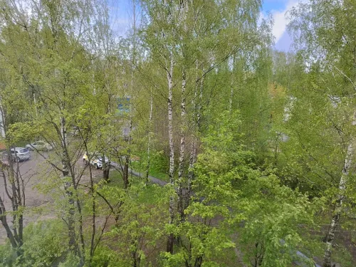 3-комнатная квартира, 63.3 м² - фото 17
