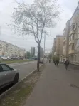2-комнатная квартира, 39.6 м² - фото 34