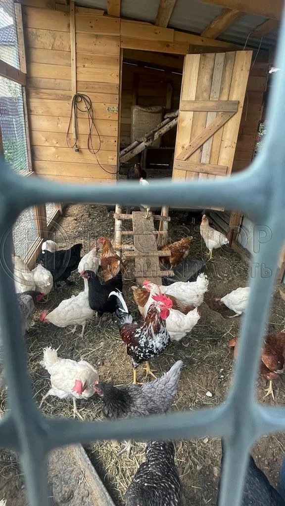 Дом, 90.8 м² - фото 4