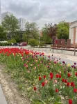3-комнатная квартира, 78.5 м² - фото 88