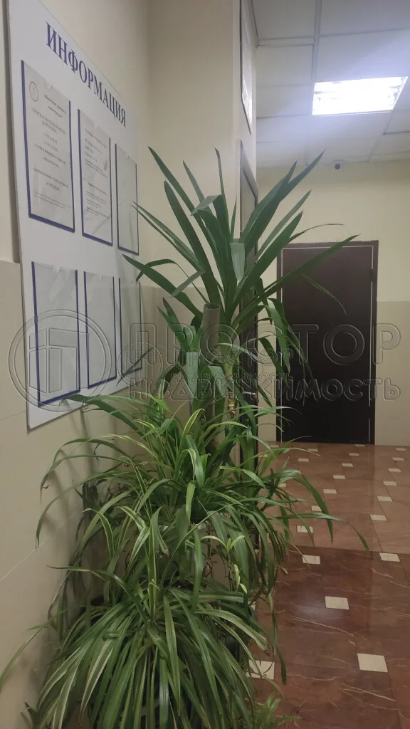 5-комнатная квартира, 130.5 м² - фото 17