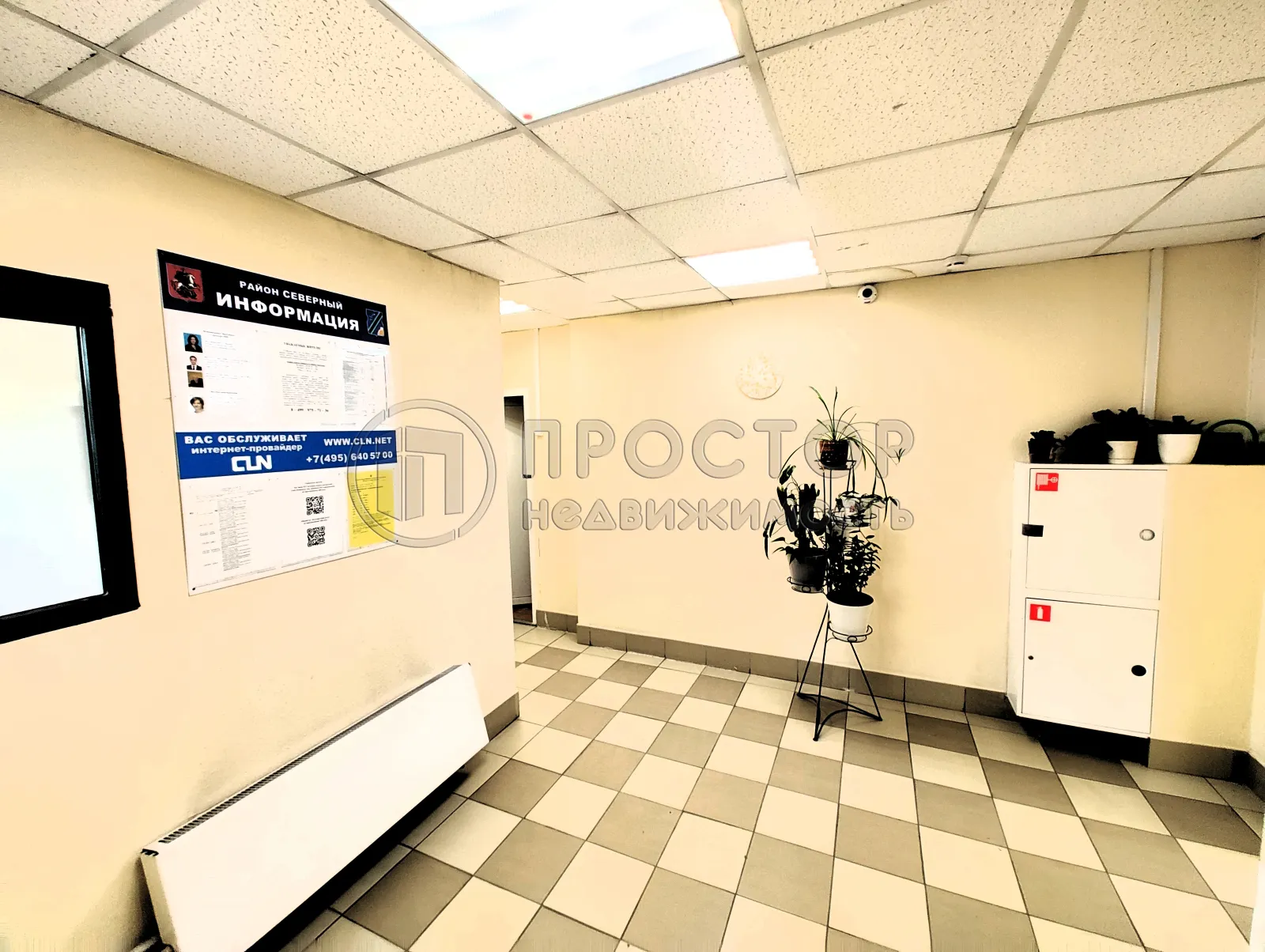 3-комнатная квартира, 81.4 м² - фото 5