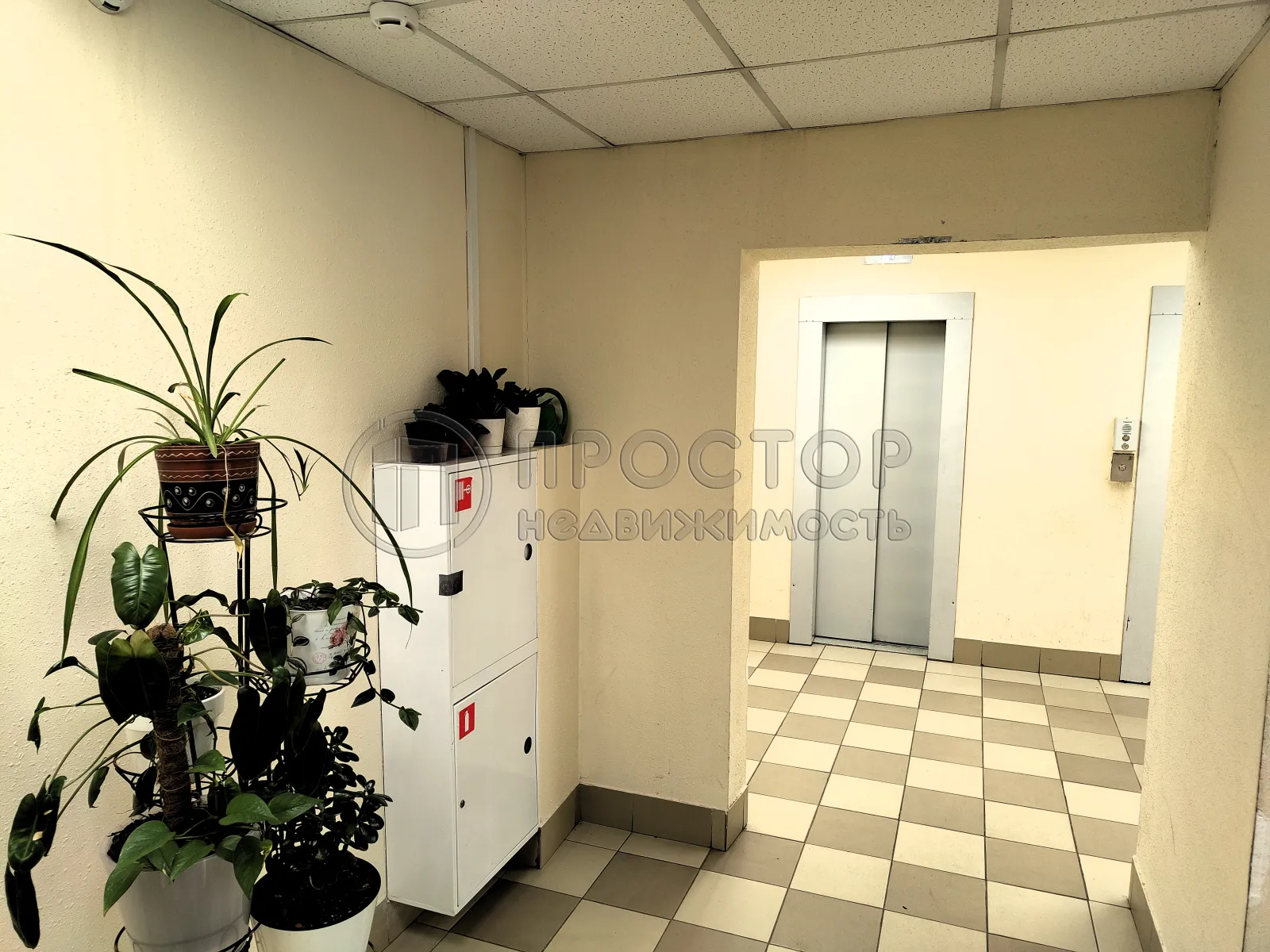 3-комнатная квартира, 81.4 м² - фото 6