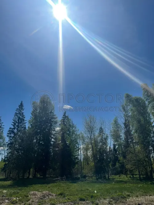 Участок, 6 сот. - фото 10
