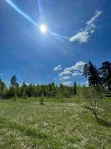 Участок, 6 сот. - фото 23